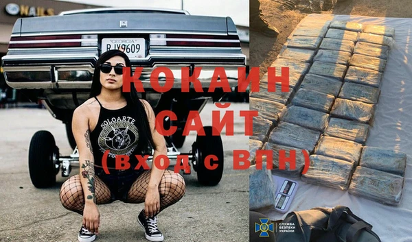 прущие крисы Надым