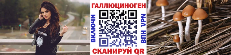 blacksprut   как найти   Дмитриев  Галлюциногенные грибы MAGIC MUSHROOMS 